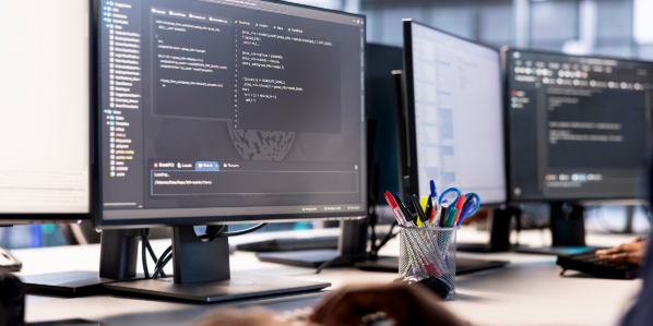 12 Best Practices for Custom Softw